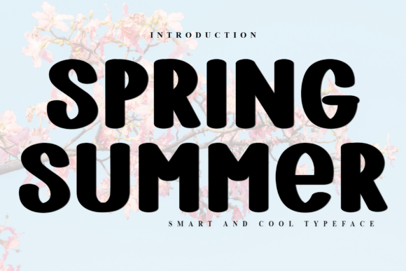 Spring Summer Typeface for Editorial Charm